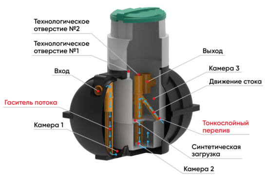 image (737).png image (737).png